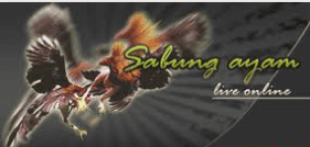 sabung ayam thailand
