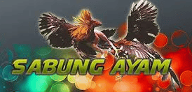 ingin menang judi 188maxbet terpercaya